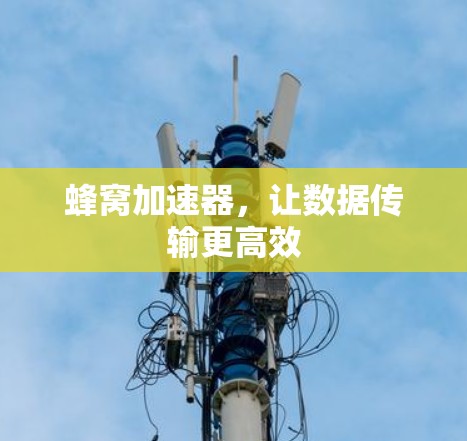 蜂窝加速器，让数据传输更高效