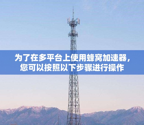 为了在多平台上使用蜂窝加速器，您可以按照以下步骤进行操作