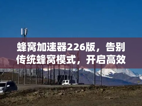 蜂窝加速器226版，告别传统蜂窝模式，开启高效数据传输新时代