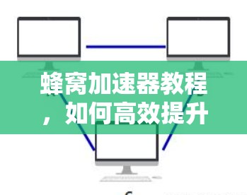 蜂窝加速器教程，如何高效提升网络速度