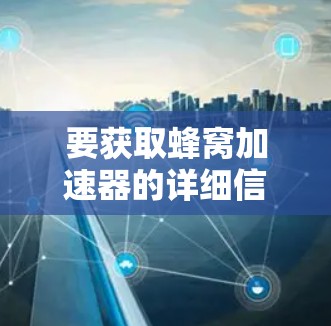 要获取蜂窝加速器的详细信息，可以按照以下步骤进行