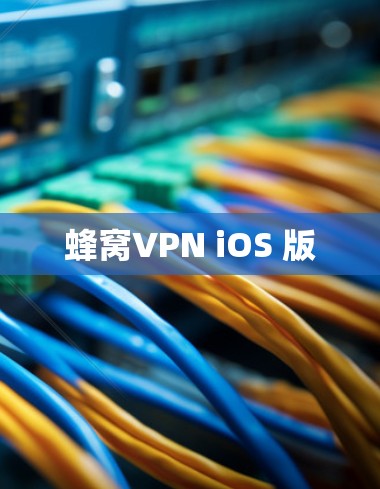 蜂窝VPN iOS 版