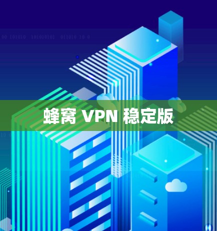蜂窝 VPN 稳定版