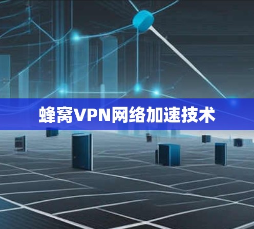 蜂窝VPN网络加速技术