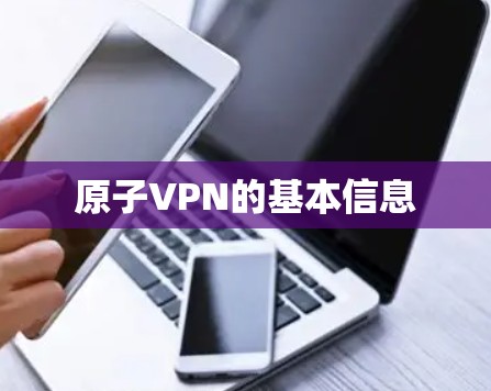 原子VPN的基本信息 原子VPN的基本信息