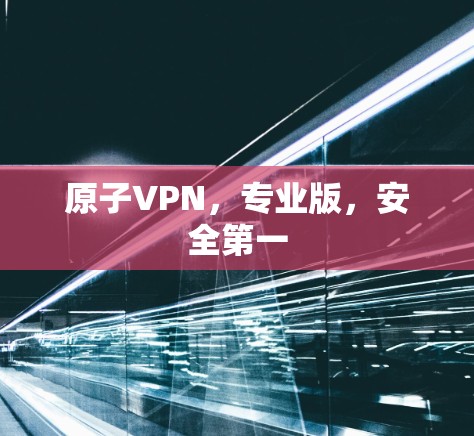 原子VPN,专业版,安全第一 原子VPN,专业版,安全第一