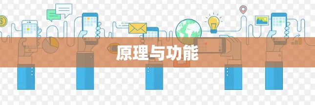 原理与功能 原理与功能