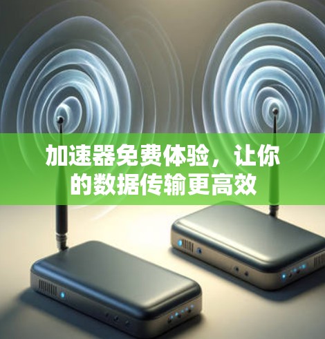 加速器免费体验,让你的数据传输更高效 加速器免费体验,让你的数据传输更高效