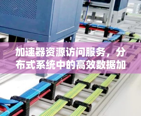 加速器资源访问服务,分布式系统中的高效数据加速方案 加速器资源访问服务,分布式系统中的高效数据加速方案
