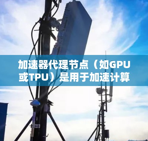 加速器代理节点（如GPU或TPU）是用于加速计算的专用设备。在使用加速器时，数据和资源的分配和共享是一个关键问题。以下是针对加速器代理节点分享数据或资源的常见解决方案