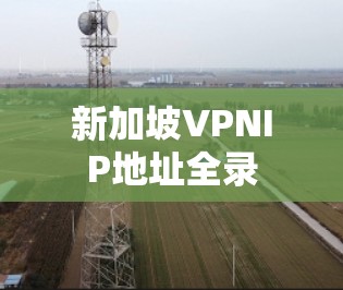 新加坡VPNIP地址全录 新加坡VPNIP地址全录