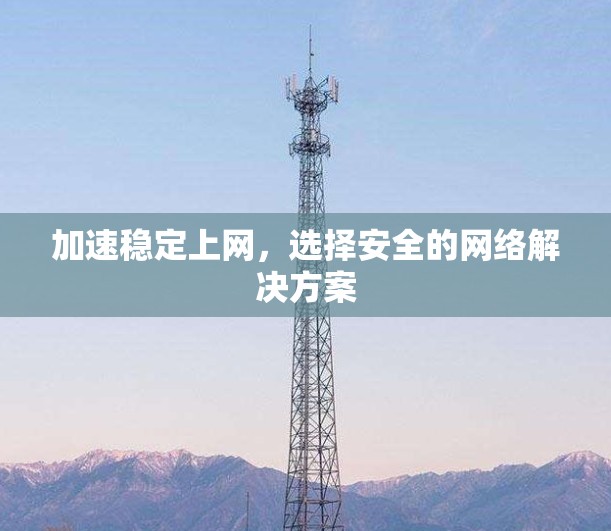 加速稳定上网,选择安全的网络解决方案 加速稳定上网,选择安全的网络解决方案