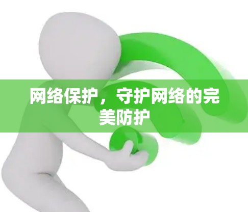 网络保护,守护网络的完美防护 网络保护,守护网络的完美防护