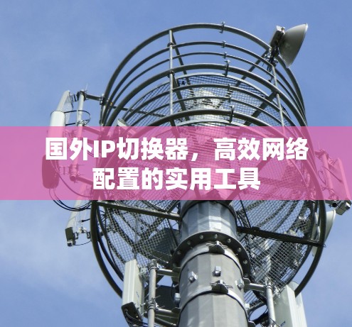 国外IP切换器,高效网络配置的实用工具 国外IP切换器,高效网络配置的实用工具