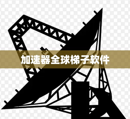 加速器全球梯子软件 加速器全球梯子软件