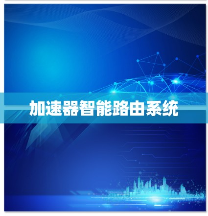 加速器智能路由系统 加速器智能路由系统