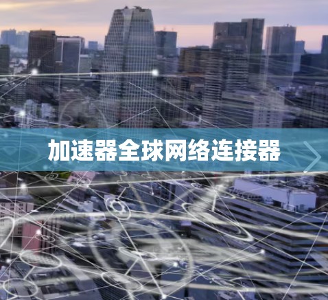 加速器全球网络连接器 加速器全球网络连接器