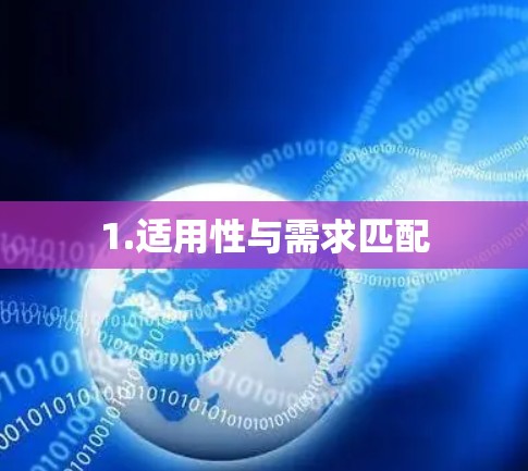 1.适用性与需求匹配 1.适用性与需求匹配