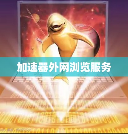 加速器外网浏览服务 加速器外网浏览服务