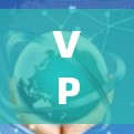 VPN国外IP切换，选择与适应的智慧之路