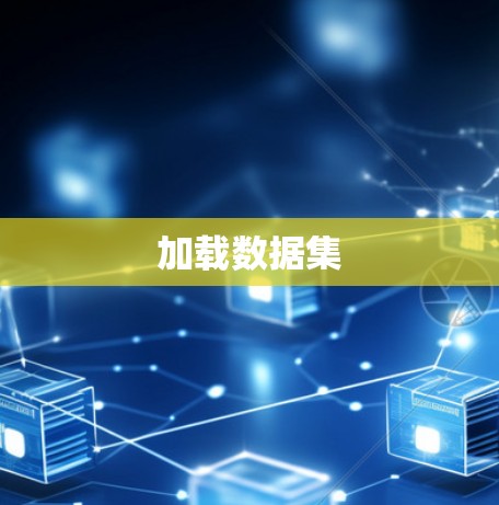 加载数据集 加载数据集
