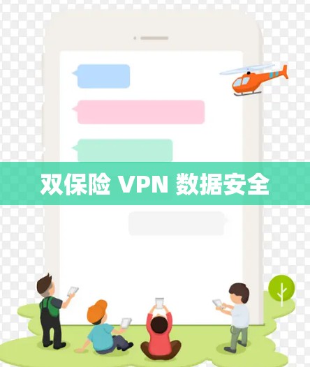 双保险 VPN 数据安全 双保险 VPN 数据安全