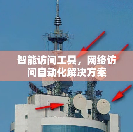 智能访问工具,网络访问自动化解决方案 智能访问工具,网络访问自动化解决方案