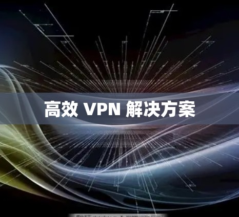 高效 VPN 解决方案 高效 VPN 解决方案