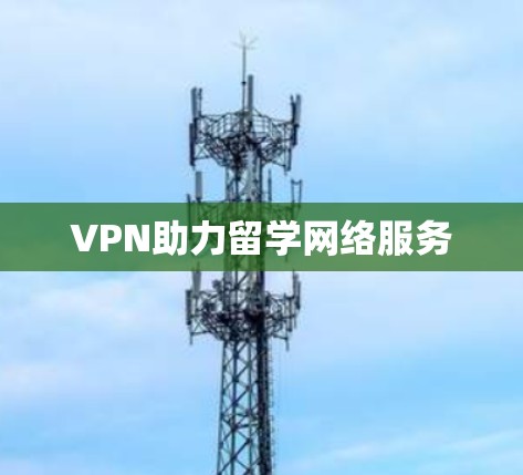 VPN助力留学网络服务 VPN助力留学网络服务