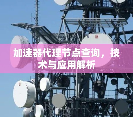 加速器代理节点查询，技术与应用解析