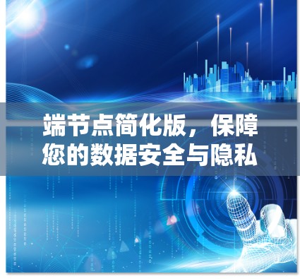 端节点简化版,保障您的数据安全与隐私 端节点简化版,保障您的数据安全与隐私
