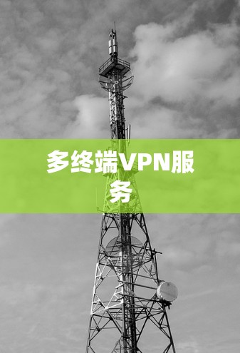 多终端VPN服务