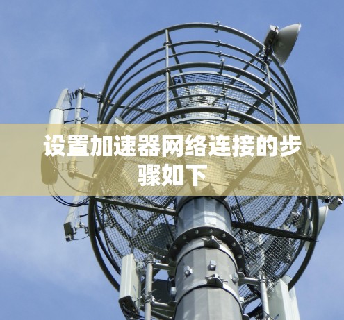 设置加速器网络连接的步骤如下