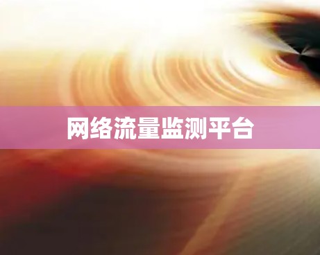 网络流量监测平台