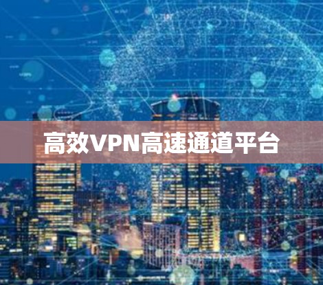 高效VPN高速通道平台 高效VPN高速通道平台