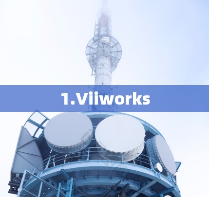 1.Viiworks