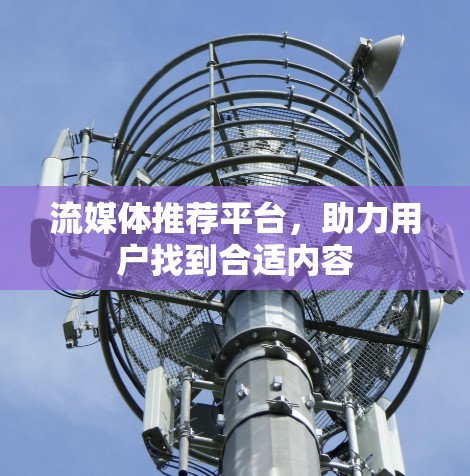 流媒体推荐平台，助力用户找到合适内容