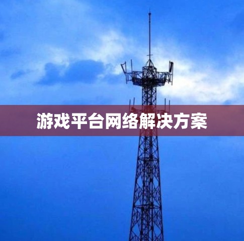 游戏平台网络解决方案