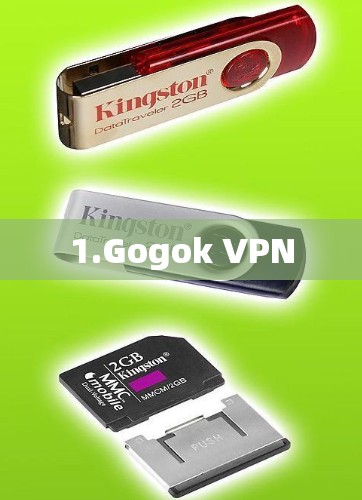 1.Gogok VPN