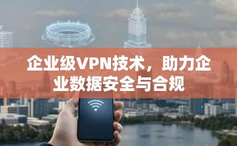 企业级VPN技术，助力企业数据安全与合规