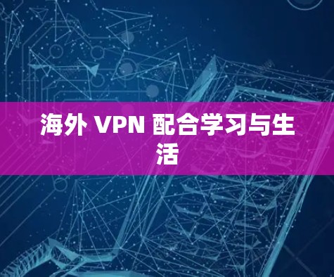 海外 VPN 配合学习与生活 海外 VPN 配合学习与生活