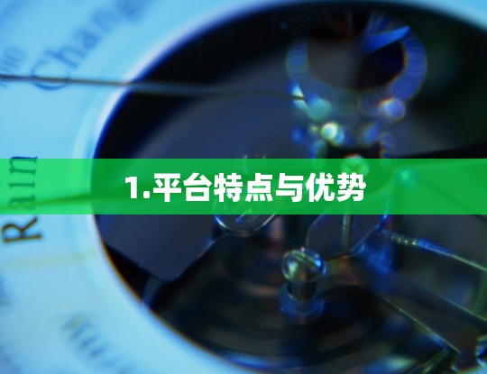 1.平台特点与优势 1.平台特点与优势
