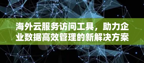 海外云服务访问工具,助力企业数据高效管理的新解决方案 海外云服务访问工具,助力企业数据高效管理的新解决方案