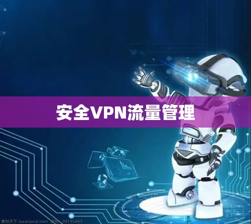 安全VPN流量管理