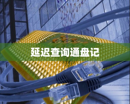 延迟查询通盘记