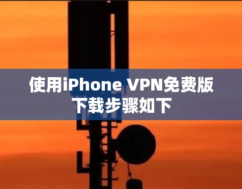 使用iPhone VPN免费版下载步骤如下 使用iPhone VPN免费版下载步骤如下