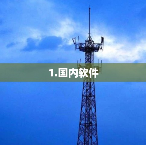 1.国内软件