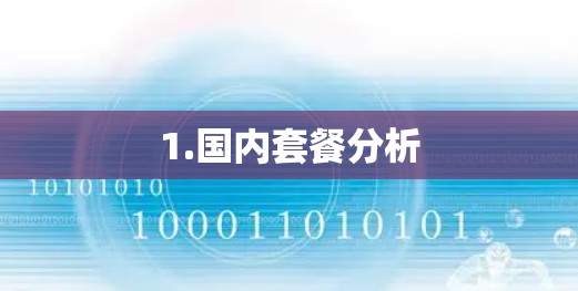 1.国内套餐分析 1.国内套餐分析