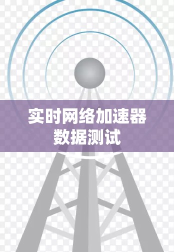 实时网络加速器数据测试 实时网络加速器数据测试