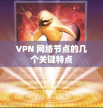 VPN 网络节点的几个关键特点 VPN 网络节点的几个关键特点